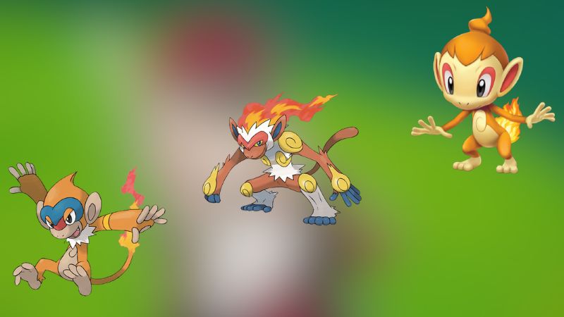 Pokemon Go Can You Get Shiny Chimchar Answered