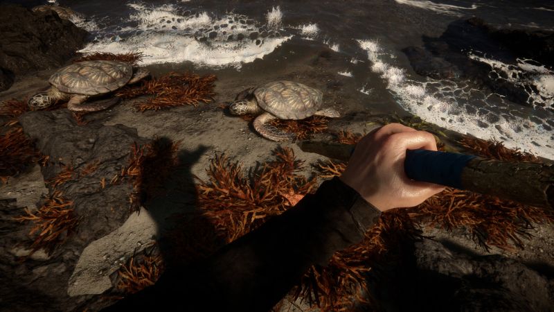 When Will Sons of the Forest Come Out on PS5?