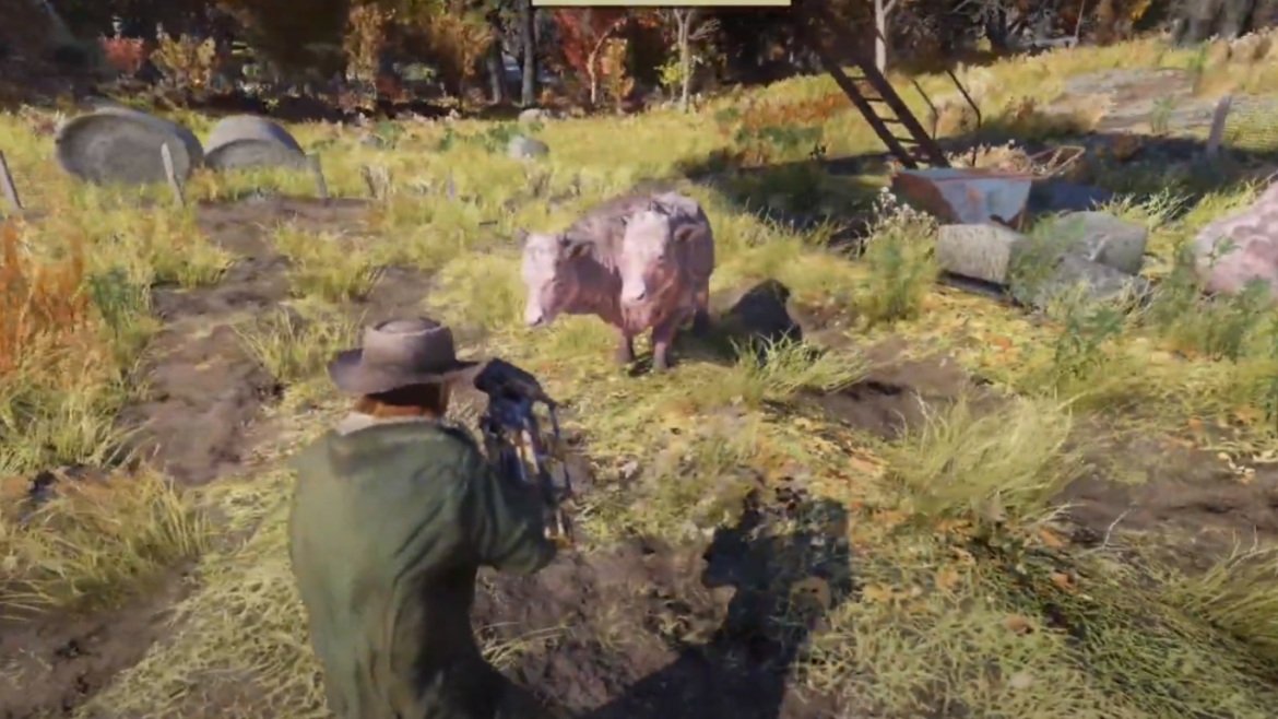 Where To Find Brahmin in Fallout 76